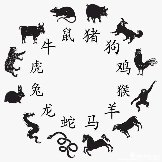 摆开队伍交与战,八月十五好码开是什么生肖的警惕虚假宣传-全面释义、解释与落实、实证解答解释落实