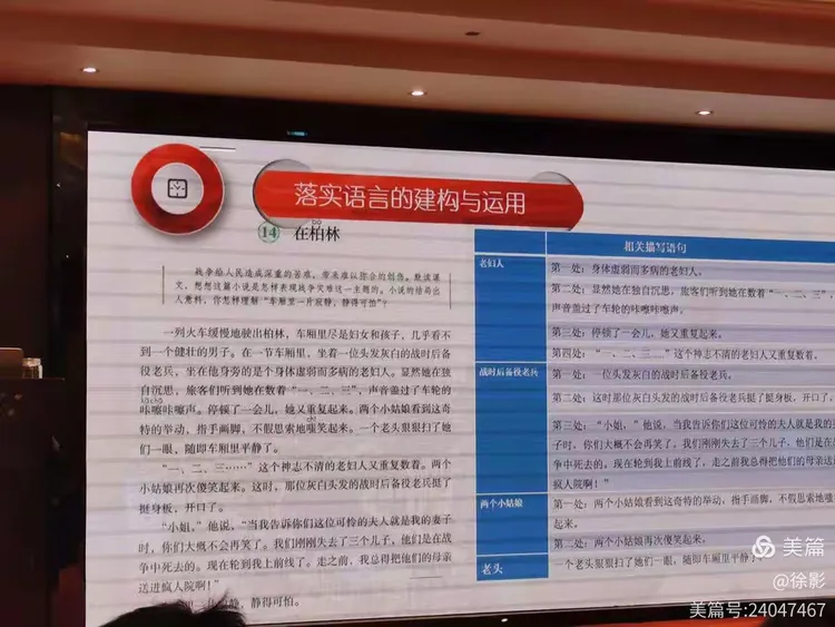 季节更替打一个生肖警惕虚假宣传、全面解答与解释、构建解答解释落实